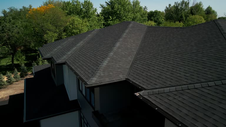 Best Solar Panel Roofing Installation  in San Leandro, CA